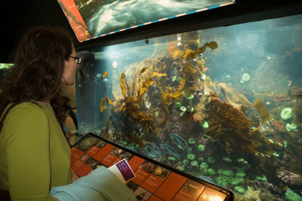Vacation Travel Innovation Highlights the Best of Vancouver 2